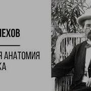 Краткая Анатомия Человека Чехов