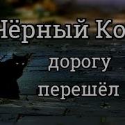 Кот Дорогу Перешел