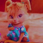 Chipettes Kings Qeens