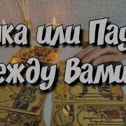 Вычеркнул Он Вас Из Своей Жизни Или Будет Возвращать Расклад Таро Таро Ответутаротатьяна