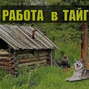 Книги О Приключениях В Тайге