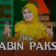 Lagu Adelia Kabin Paksa