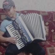 Кыргызча Ырлар Аккордеон