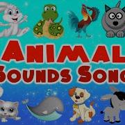 Animal Sound Song Littlekids Tv