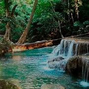 Relaxing Jungle Waterfall