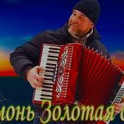 У Гармони Моей Золотая Душа Рыжков