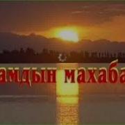 Апамдын Махабаты Музыкасы