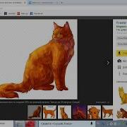 Коты Воители Герои Племён Часть 1