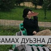 Безамах Дуьзна Дог