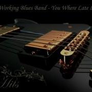 Working Blues Band You Were Late Last Night