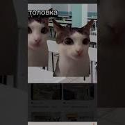 Бу Испугался Не Бойся Сталовка