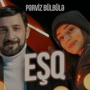 Perviz Esq