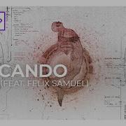 Arcando Felix Samuel Ignite