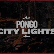 Pongo City Lights