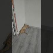 Уходи Я Же Урод