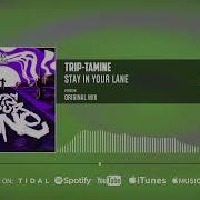 Trip Tamine Stay In Your Lane Official Audio