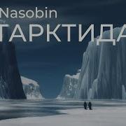 Антарктида Олег Насобин