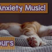 Relaxing Music For Cats