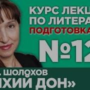 Любовь Гогина Лекция 127