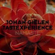 Johan Gielen Namaste