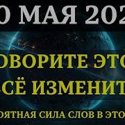 Слова И Реальность