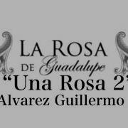 Una Rosa 2 Guillermo Alzua