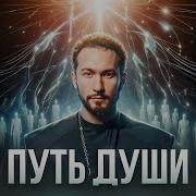 Зачем Мы Приходим В Этот Мир