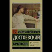 Кратко Достоевский Кроткая