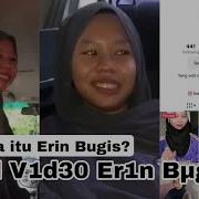 Erinbugis