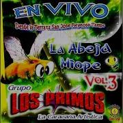 Grupo Los Primos La Abeja Miope