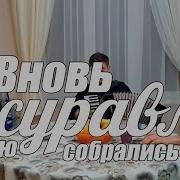 Вновь Журавли В Свою Собрались Стаю