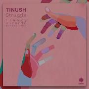 Tinush Struggle Franky Rizardo Sunset Mix