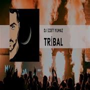 Dj Izzet Yilmaz Tribal