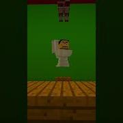 Skibidi Toilet Minecraft Check