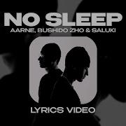 Aarne Bushido Zho Saluki No Sleep