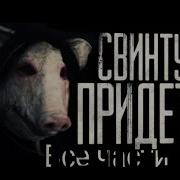 Свинтус Придет Сборник