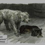 Куприн Рассказы Скачать
