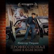 Виктор Тюрин Профессионал 3