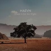 Haevn Trade It For The Night Lyric Video With Neco Novellas