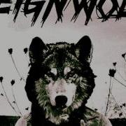 Reignwolf Are You Satisfied