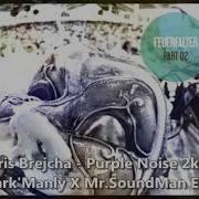 Boris Brejcha Purple Noise 2K20 Stark Manly X Mr Soundman Edit