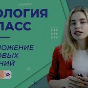 Параграф 23 Биология 6 Класс