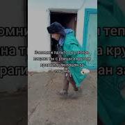 Запомни Пальто Ты Теперь Пацан Роблокс