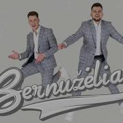 Bernuzelei