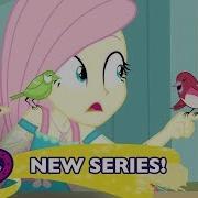 Mlp Fluttershy Eqg