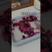 多肉小葡萄