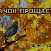 Шпачок Прощається