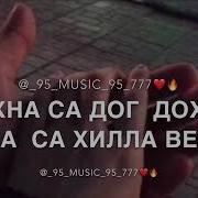 Тахна Са Дог Дохи Ахьа Са Хилла Везар 2019