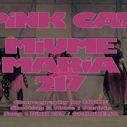 Garnidelia Pink Cat