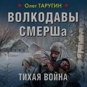 Олег Торугин Аудиокниги